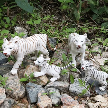 4 Vrste Simulacija White Tiger Živali Slika Zbirateljske Igrače Divje Živali Figuric Otroci Plastične Igrače Cementa