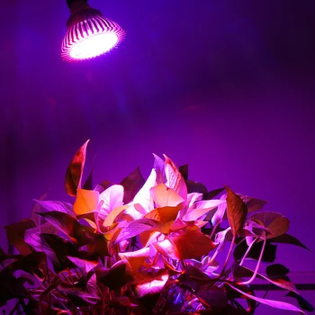Celoten Spekter 15W 21W 27W 36W 45W 54W LED Rastejo Luči E27 Vrtnarstvo, Vrt Cvetenja Hydroponics Zelenjave, Rastlinskih Svetilke Šotor