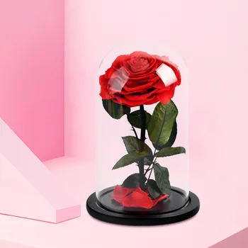 Večno Rose V steklen Pokrov Večno Rose Stekla Konzervirane Sveže Rose Stekla Valentinovo Romantično Rose Stekla Nesmrtni Rose