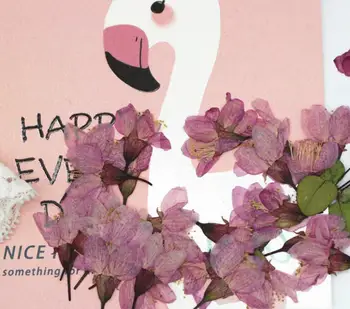 120pcs Pritisnete Posušene Češnje Sakura Cvet Rastline Za Herbarij Smolo, Nakit, Izdelava Razglednic Okvir Telefon Primeru Obrti DIY