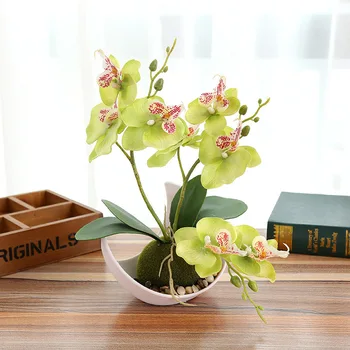 Metulj Orhideja Ponaredek Cvetje Umetno Simulacije Posajenih Rastlin Doma Odlikovanja