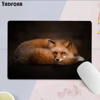 YNDFCNB po Meri Kože Srčkan Fox Živali Visoke Hitrosti Novo Mousepad za CS GO Top Prodaja na Debelo Gaming mouse Pad
