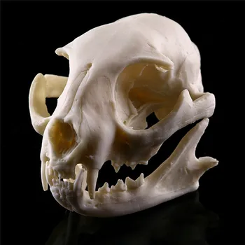 1PCS Grozno Dobave Doma Decora Realne Mačka Lobanje Smolo Replika Poučevanja Skelet Modela Akvarij Halloween Kostume